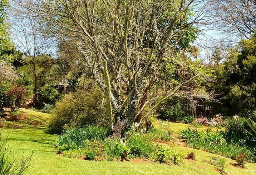 Pension L Orange Guesthouse