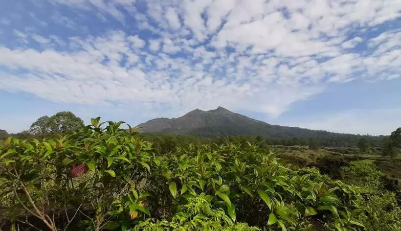 ペンション Manik Tirta Cabin S