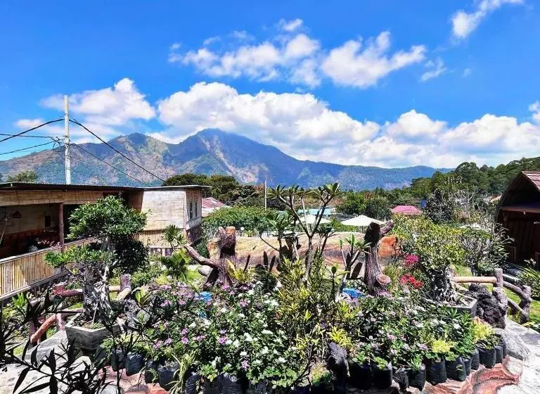 ペンション Manik Tirta Cabin S