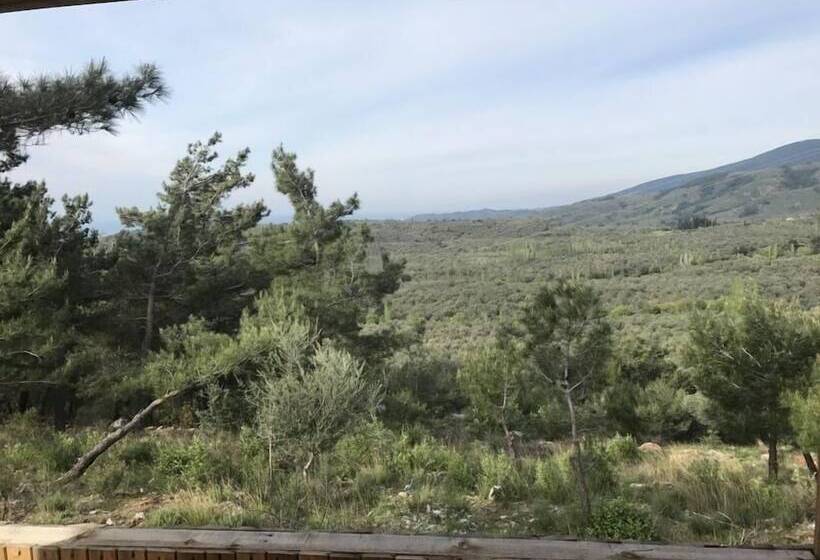 צימר Ida Bay Bungalows