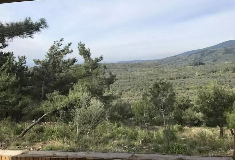 Aamiaismajoitus (B&B) Ida Bay Bungalows