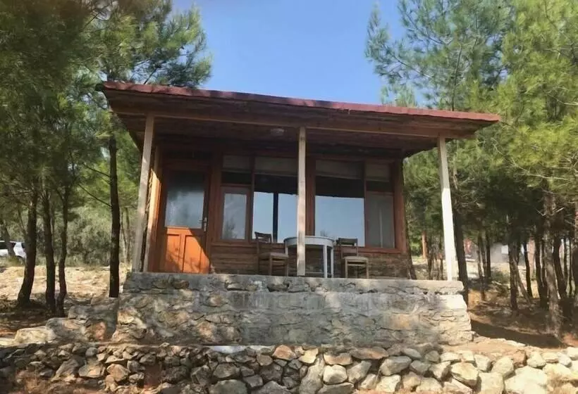 Aamiaismajoitus (B&B) Ida Bay Bungalows