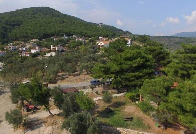 צימר Ida Bay Bungalows