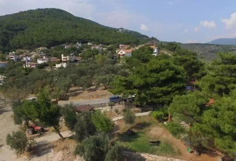 Aamiaismajoitus (B&B) Ida Bay Bungalows