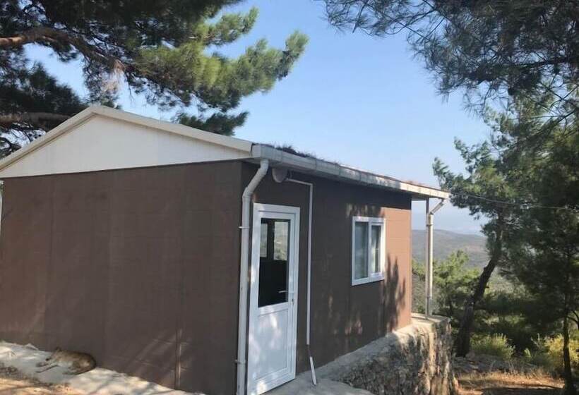 צימר Ida Bay Bungalows