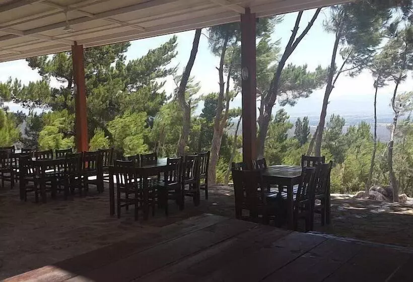 Aamiaismajoitus (B&B) Ida Bay Bungalows