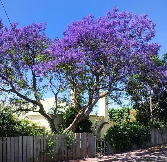 Aamiaismajoitus (B&B) Settlers Cottage