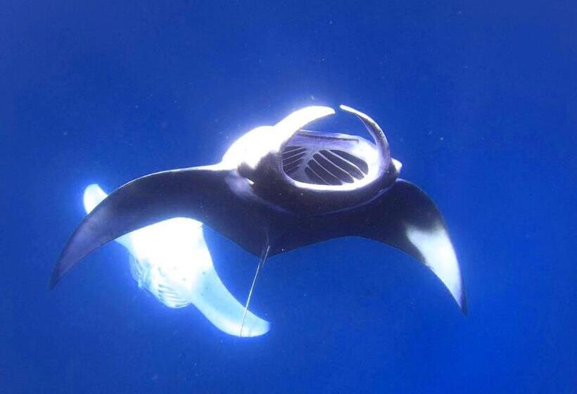 هتل Daisy Cottage Dhangethi