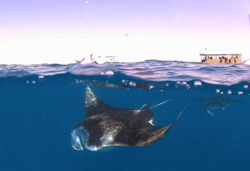 هتل Daisy Cottage Dhangethi