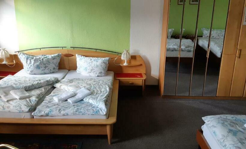 Отель Pension Hirsch/schwan