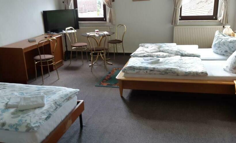 Отель Pension Hirsch/schwan