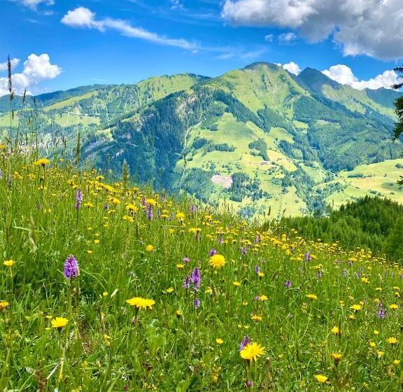 Simple Life Apartments