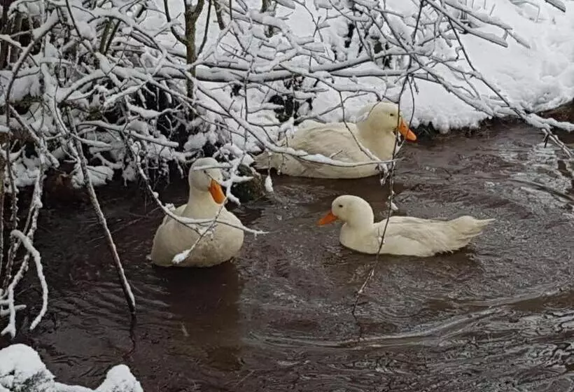 ベッドアンドブレックファースト Auverg Nature Chambre Combrailles