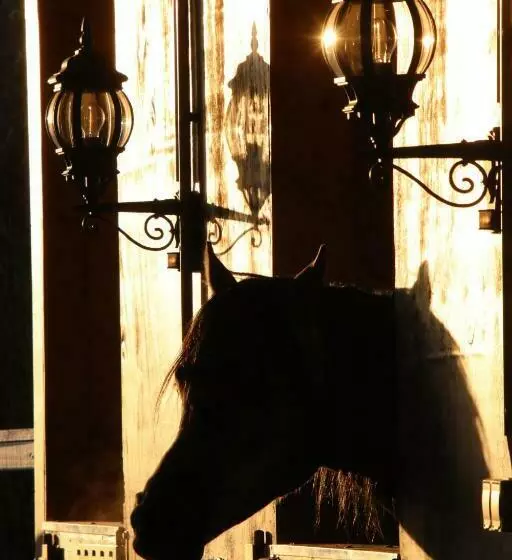 Luxus Resort Rügen Residenz Kubitzer Bodden