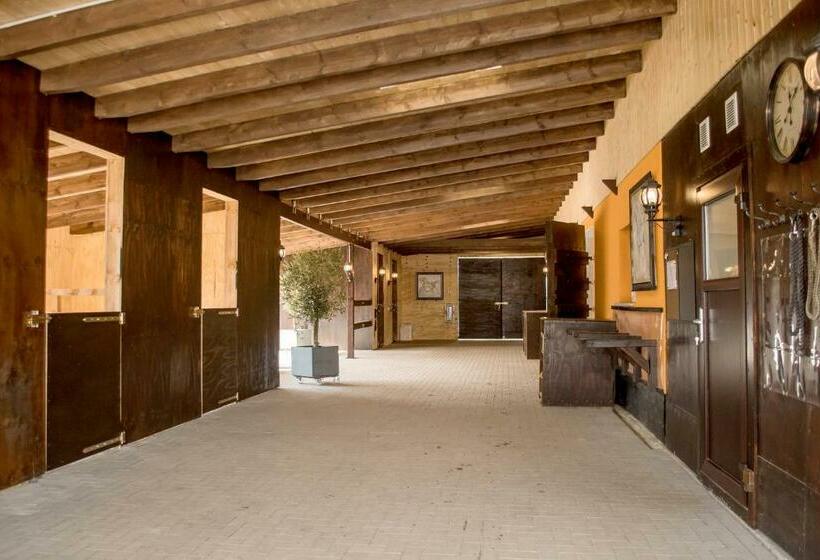 Luxus Resort Rügen Residenz Kubitzer Bodden