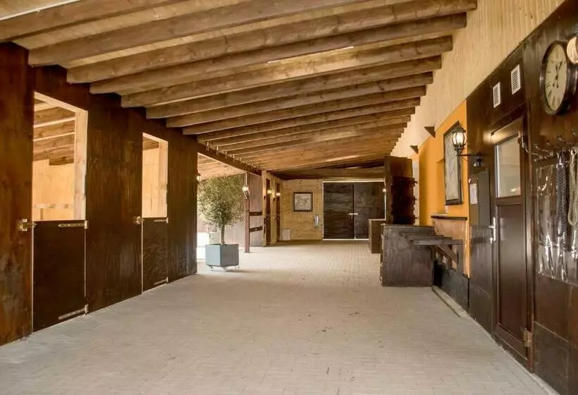 Luxus Resort Rügen Residenz Kubitzer Bodden