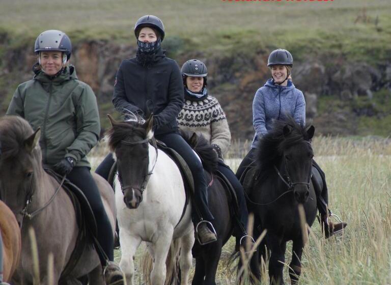 ペンション Helluland Guesthouse