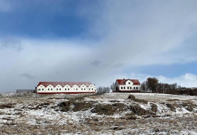 ペンション Helluland Guesthouse