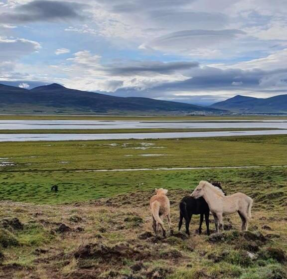 ペンション Helluland Guesthouse