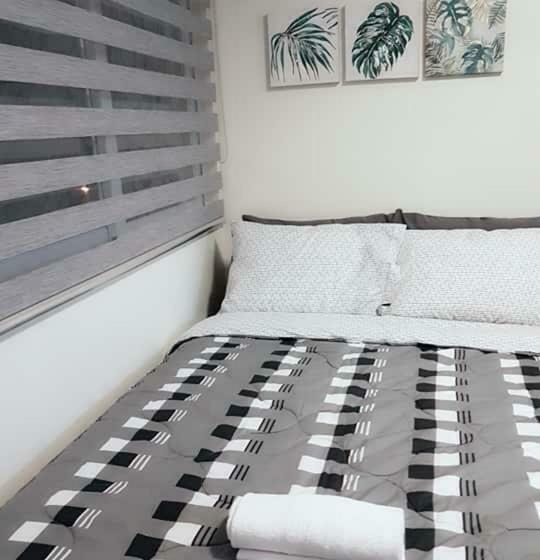 住宿加早餐  Stanford Suites 2