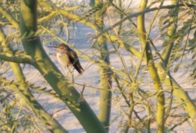 بنسيون Smitty S Hideaway