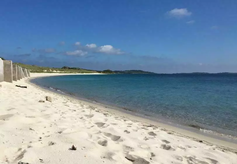 Bed and Breakfast Appletree