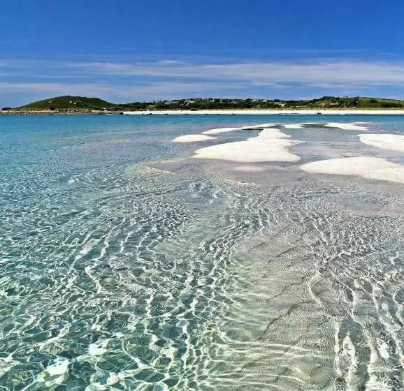 Bed and Breakfast Appletree