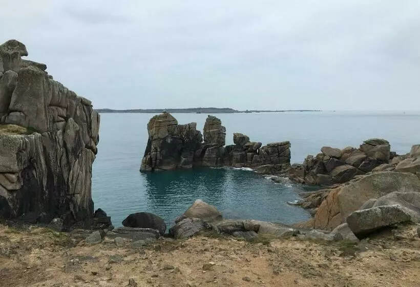 Bed and Breakfast Appletree