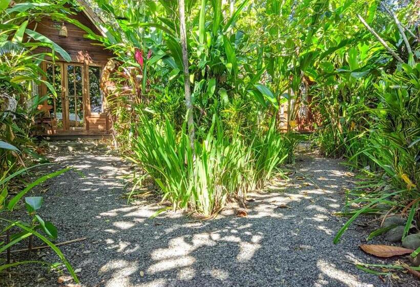 Otel Coconut Tree Cottages