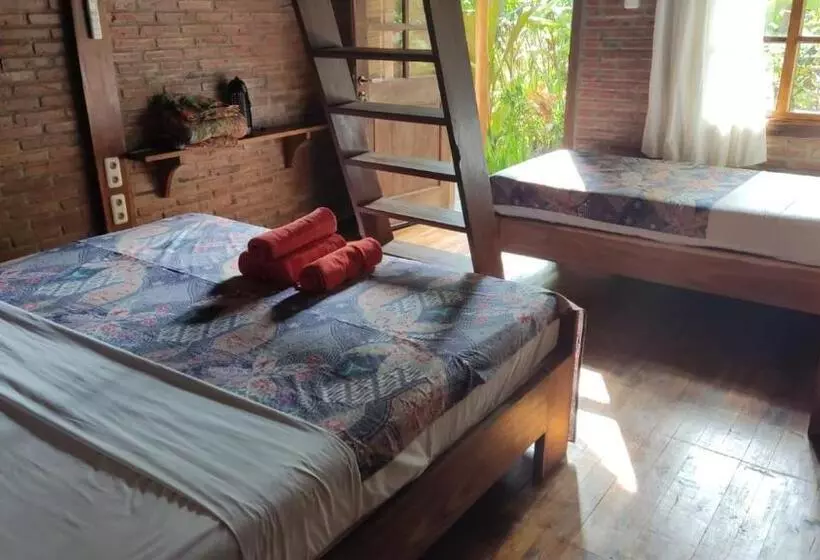 Hotel Coconut Tree Cottages