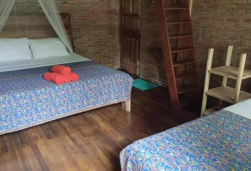 Hotel Coconut Tree Cottages