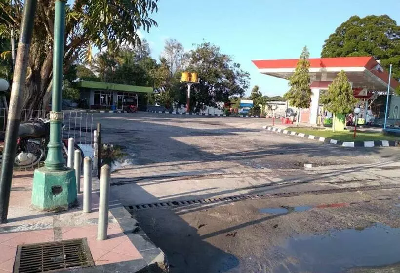 ペンション Mimi Guest House Syariah Pangkalan Bun