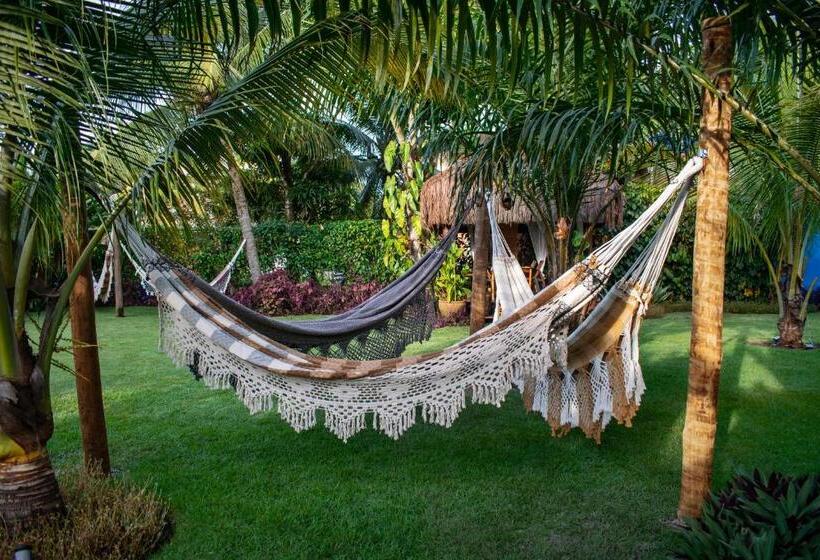 Bed and Breakfast Barra Suítes