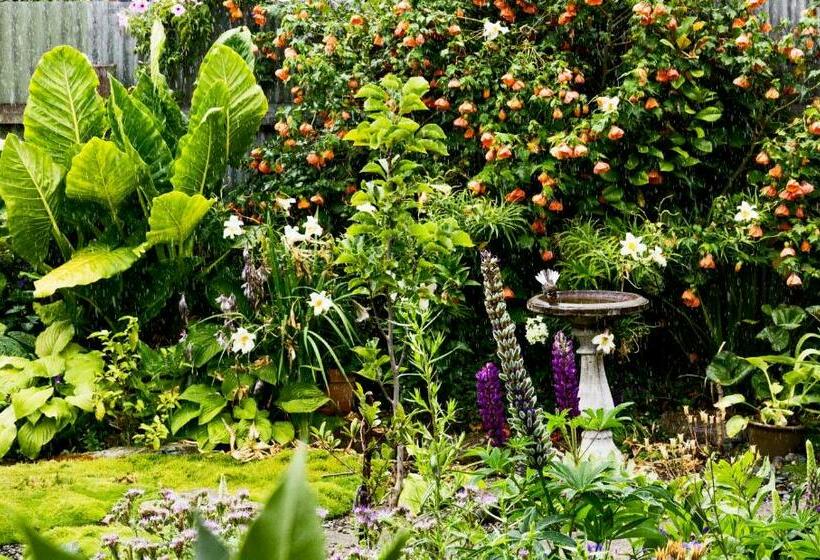 مبيت وإفطار Magnolia House