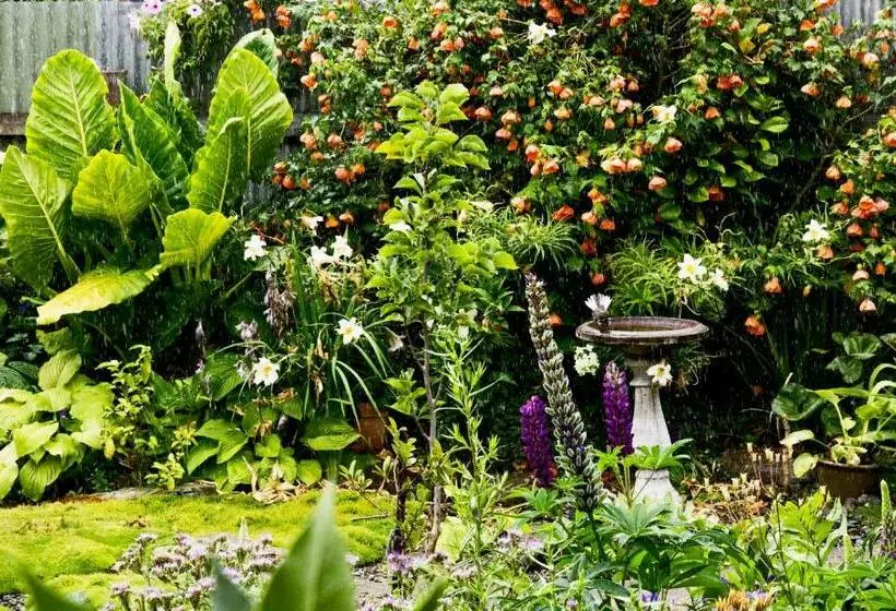 Aamiaismajoitus (B&B) Magnolia House