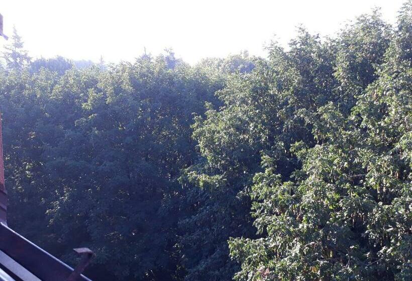 민박 Maison Da Paola