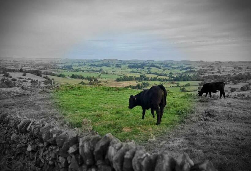 住宿加早餐  Peak District, The Greyhound Inn, Warslow Circa 1750