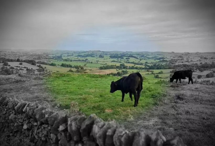 Aamiaismajoitus (B&B) Peak District, The Greyhound Inn, Warslow Circa 1750