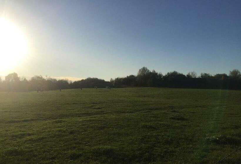 ペンション Coquelicot