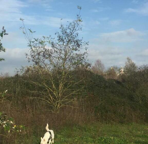 ペンション Coquelicot