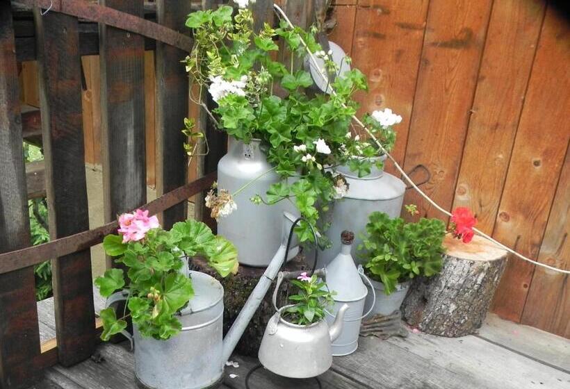 پانسیون Iedera Casa De Familii 2