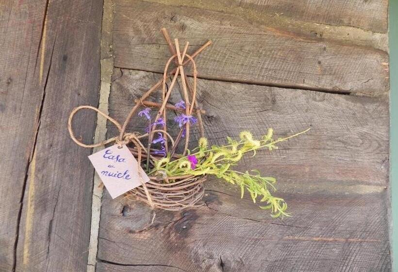 پانسیون Iedera Casa De Familii 2