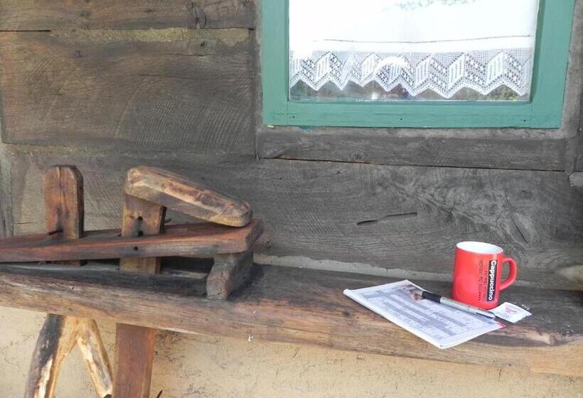 پانسیون Iedera Casa De Familii 2