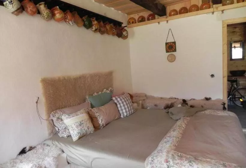 ペンション Iedera Casa De Familii 2