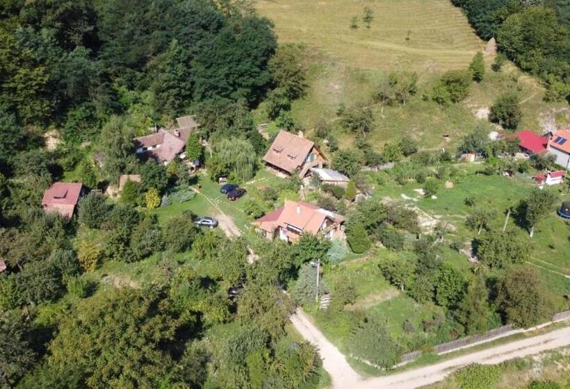 پانسیون Iedera Casa De Familii 2