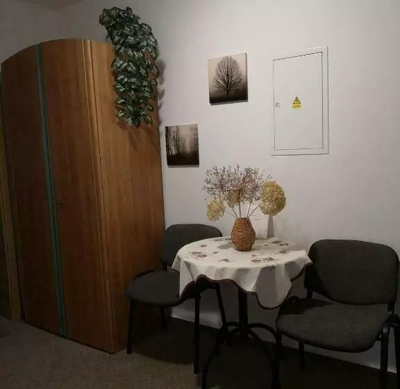 Majatalo Penzion U Našich