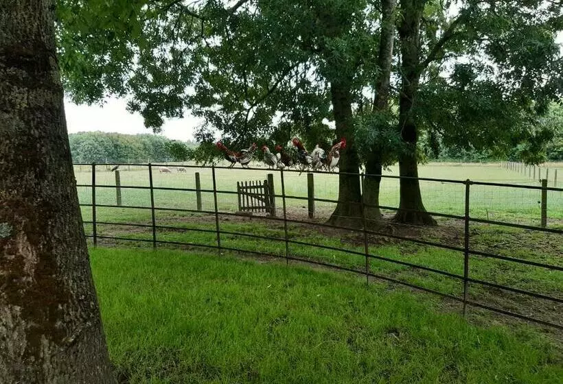 Aamiaismajoitus (B&B) Het Meikenshof