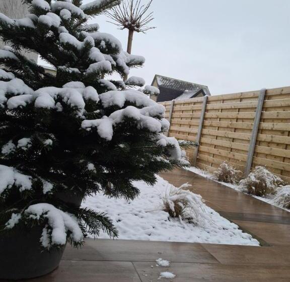 تختخواب و صبحانه Snooze