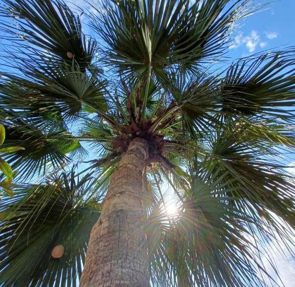 Hostel Trópico De Capricórnio   Tenório