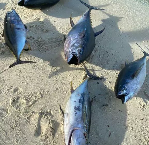 هتل Mandhoo Inn